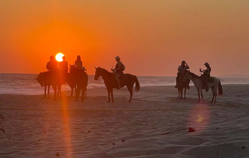 Balade a cheval Hurghada Dream 5 870x555 1