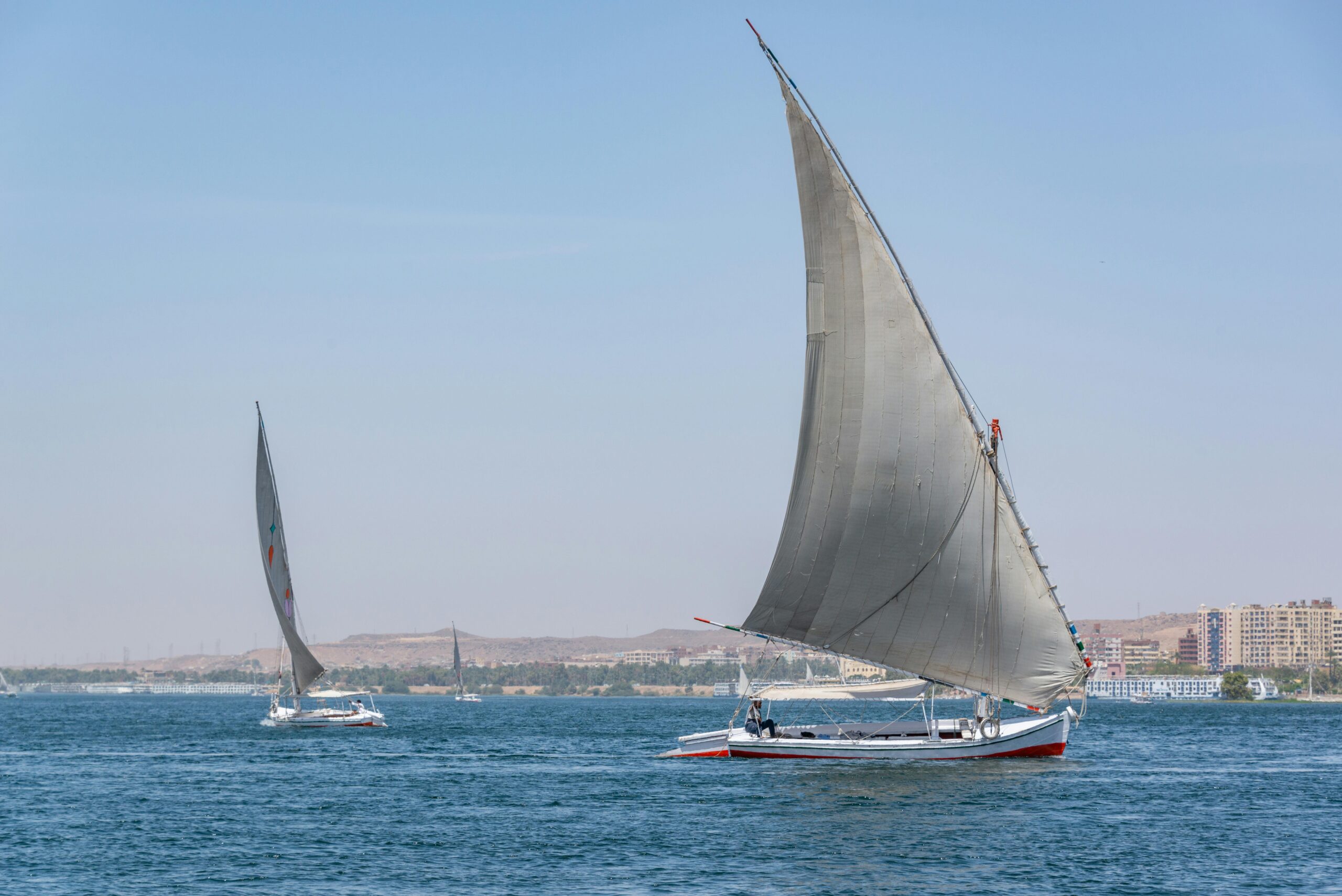 pexels diego f parra 33199 15131453 1 scaled