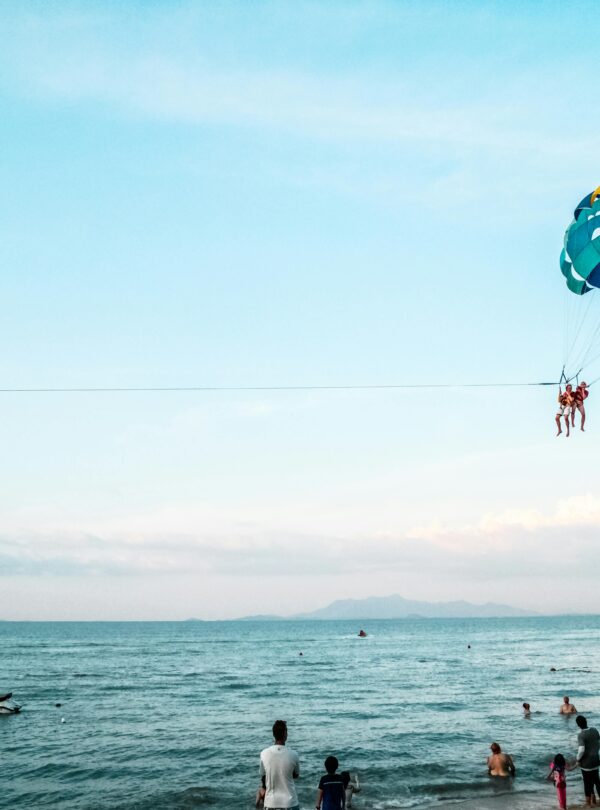 pexels-donaldtong94-33443